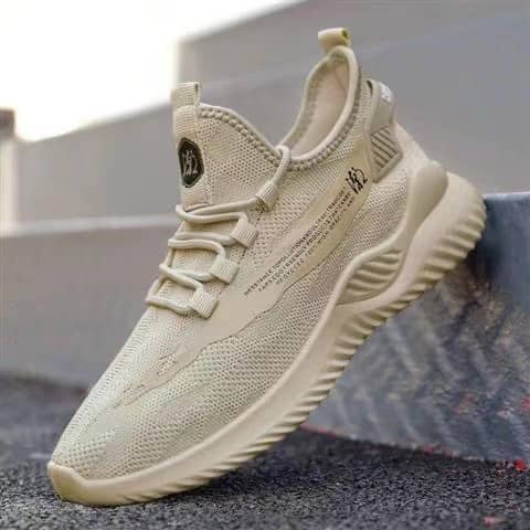 Men's Four Seasons Casual Comfortable Mesh Shoes Student Running Shoes Trendy Shoes Anti-Slip Coconut Shoes